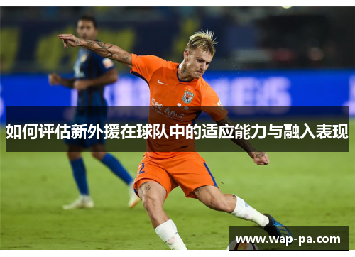 如何评估新外援在球队中的适应能力与融入表现 如何评估新外援在球队中的适应能力与融入表现