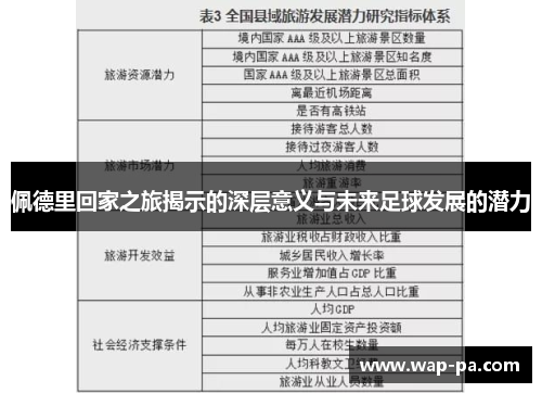 佩德里回家之旅揭示的深层意义与未来足球发展的潜力 佩德里回家之旅揭示的深层意义与未来足球发展的潜力