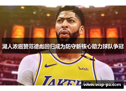 湖人浓眉赞范德彪回归成为防守新核心助力球队争冠 湖人浓眉赞范德彪回归成为防守新核心助力球队争冠