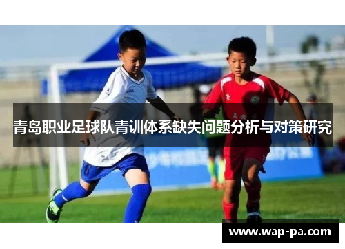 青岛职业足球队青训体系缺失问题分析与对策研究 青岛职业足球队青训体系缺失问题分析与对策研究