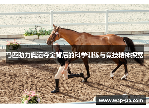 马匹助力奥运夺金背后的科学训练与竞技精神探索 马匹助力奥运夺金背后的科学训练与竞技精神探索