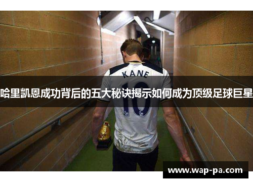 哈里凯恩成功背后的五大秘诀揭示如何成为顶级足球巨星 哈里凯恩成功背后的五大秘诀揭示如何成为顶级足球巨星