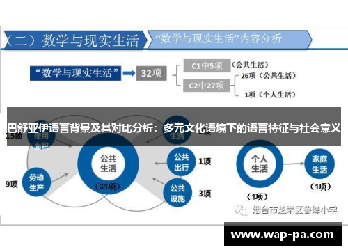 巴舒亚伊语言背景及其对比分析：多元文化语境下的语言特征与社会意义