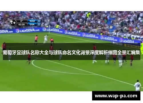 葡萄牙足球队名称大全与球队命名文化背景深度解析指南全景汇编集