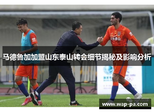 马德鲁加加盟山东泰山转会细节揭秘及影响分析