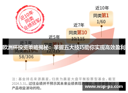 欧洲杯投资策略揭秘:掌握五大技巧助你实现高效盈利 欧洲杯投资策略揭秘:掌握五大技巧助你实现高效盈利