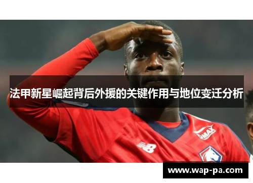 法甲新星崛起背后外援的关键作用与地位变迁分析 法甲新星崛起背后外援的关键作用与地位变迁分析