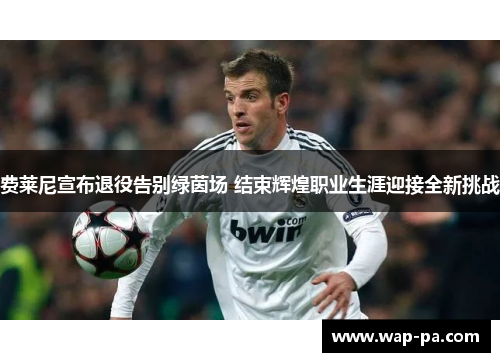 费莱尼宣布退役告别绿茵场 结束辉煌职业生涯迎接全新挑战 费莱尼宣布退役告别绿茵场 结束辉煌职业生涯迎接全新挑战