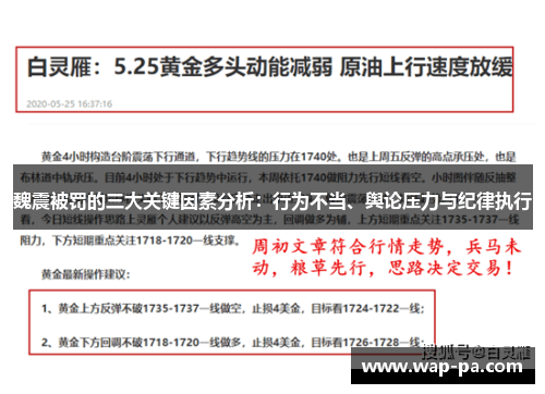魏震被罚的三大关键因素分析:行为不当、舆论压力与纪律执行 魏震被罚的三大关键因素分析:行为不当、舆论压力与纪律执行