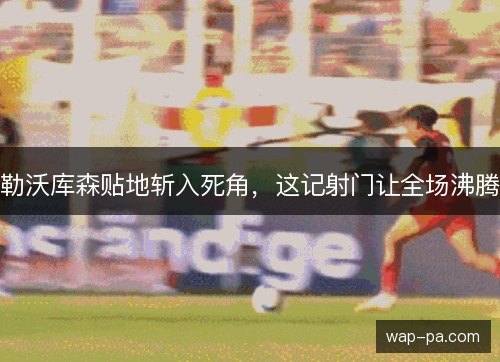 勒沃库森贴地斩入死角，这记射门让全场沸腾