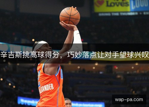 辛吉斯挑高球得分，巧妙落点让对手望球兴叹